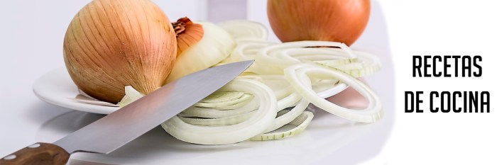 RECETAS DE COCINA