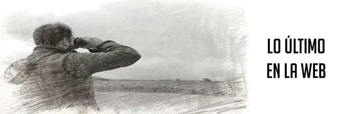 LO ULTIMO EN LA WEB